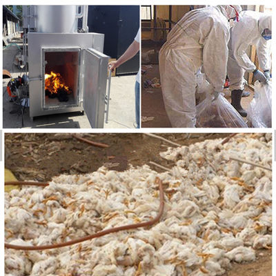 Incineratore di rifiuti di pollame senza fumo con componenti per il nucleo del camino e capacità di 750 l/h