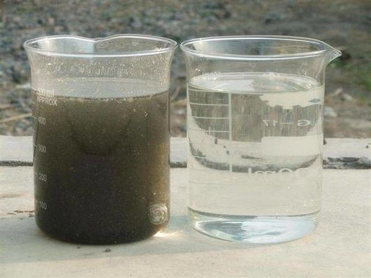 3000L/ora MBR MBBR A2O Biofiltro per il trattamento delle acque reflue di macellazione