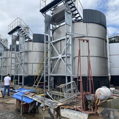 Apparecchiature in acciaio inossidabile per la trasformazione di letame organico derivante da letame bovino e ovino