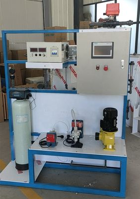 Servizio di riparazione sul campo Generatore di ipoclorito di sodio elettrolitico da 2 kW per piscina