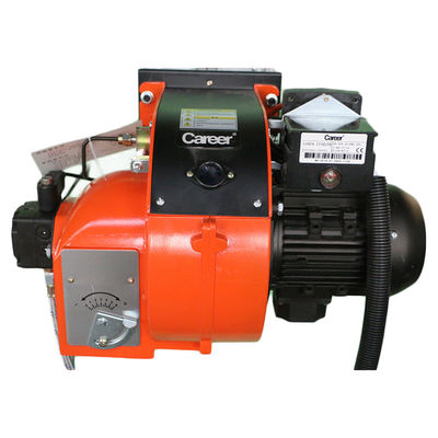 Manutenzione sul campo Incineratore a doppia camera per 300-500 kg di polli morti