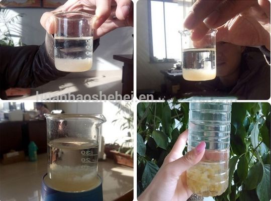 1 della macchina di separazione solido-liquido dei componenti principali per impianti di trattamento delle acque reflue